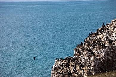 怀旧冒险游戏《变成大人也不要忘记》反向跳票 提前两周发售